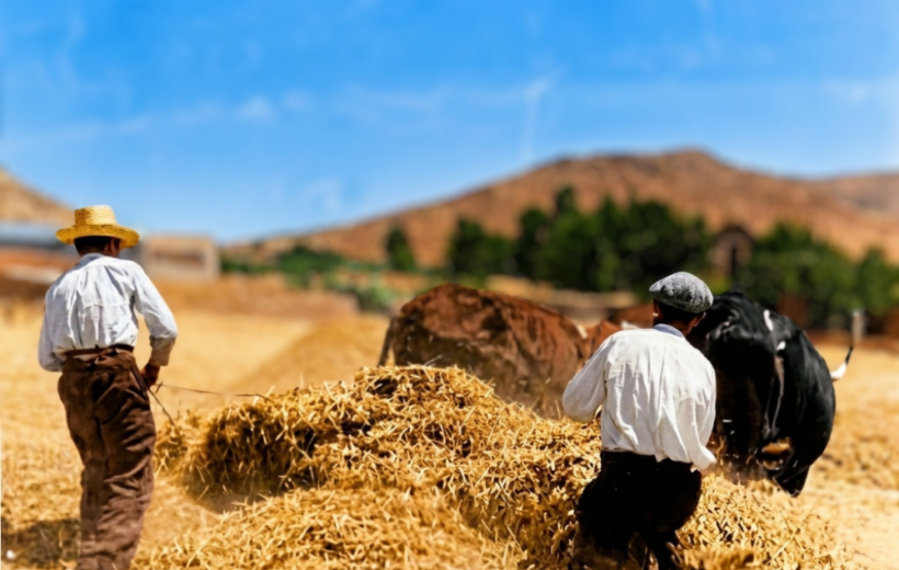 Corazón de Andalucia