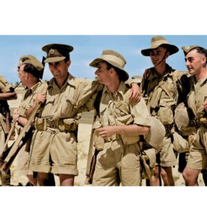 La campaña del desierto