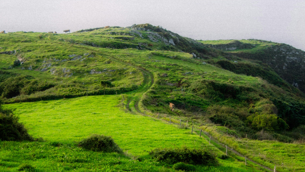 Paisaje de Asturias